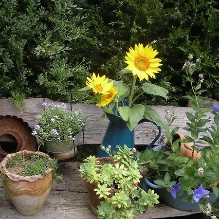 Bed and Breakfast Ferme Saint Joseph Le Fousseret