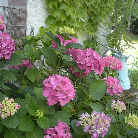 Ferme Saint Joseph 3* Le Fousseret