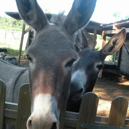 Ferme Saint Joseph Bed and breakfast