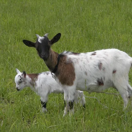 Ferme Saint Joseph Le Fousseret