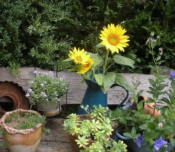 ベッド・アンド・ブレックファスト Ferme Saint Joseph Le Fousseret