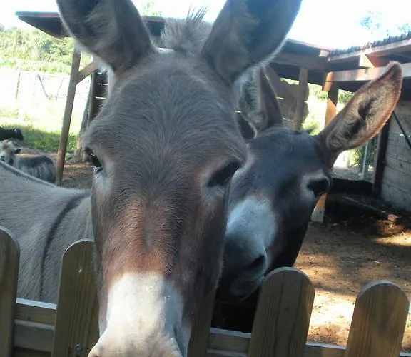 Ferme Saint Joseph ベッド・アンド・ブレックファスト